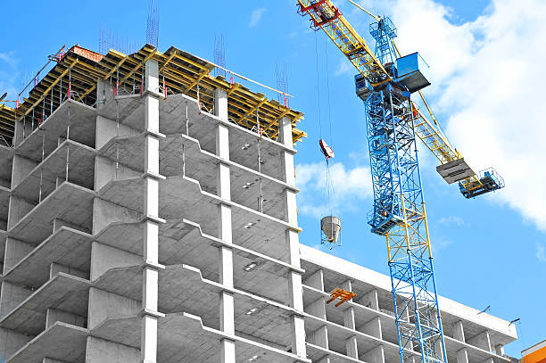 Best Concrete Leveling Services  in Elbow Lake, MN